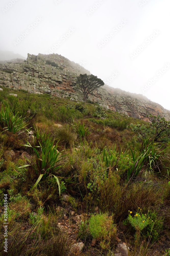 Table Mountain in Cape Town, South Africa Table Mountain in Cape Town, South Africa