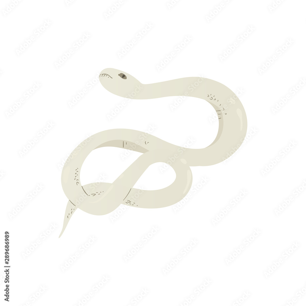 Obraz premium 䰀椀最栀琀 最爀攀礀 漀爀 眀栀椀琀攀 挀愀爀琀漀漀渀 猀渀愀欀攀 搀爀愀眀椀渀最 ⴀ 椀猀漀氀愀琀攀搀 瘀攀挀琀漀爀 椀氀氀甀猀琀爀愀琀椀漀渀