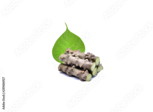 Crispa herb or Heart-leaved Moonseed on white background photo