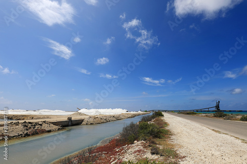 Sea salt harvesting on Bonaire island