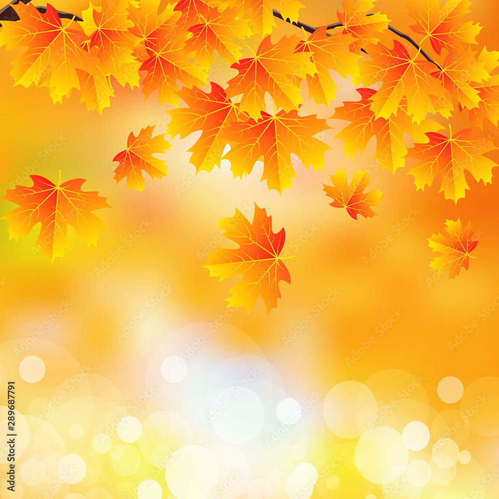 Branch with autumn leaves on bokeh background, vector art illustration. Branch with autumn leaves on bokeh background, vector art illustration.