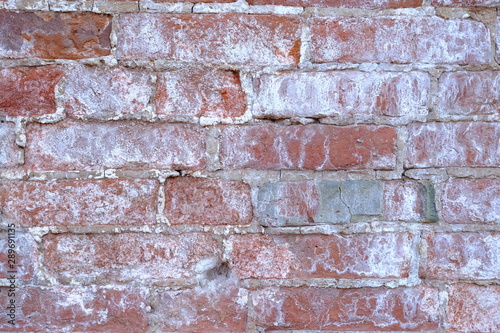 Old brick wall. Background for interior design.