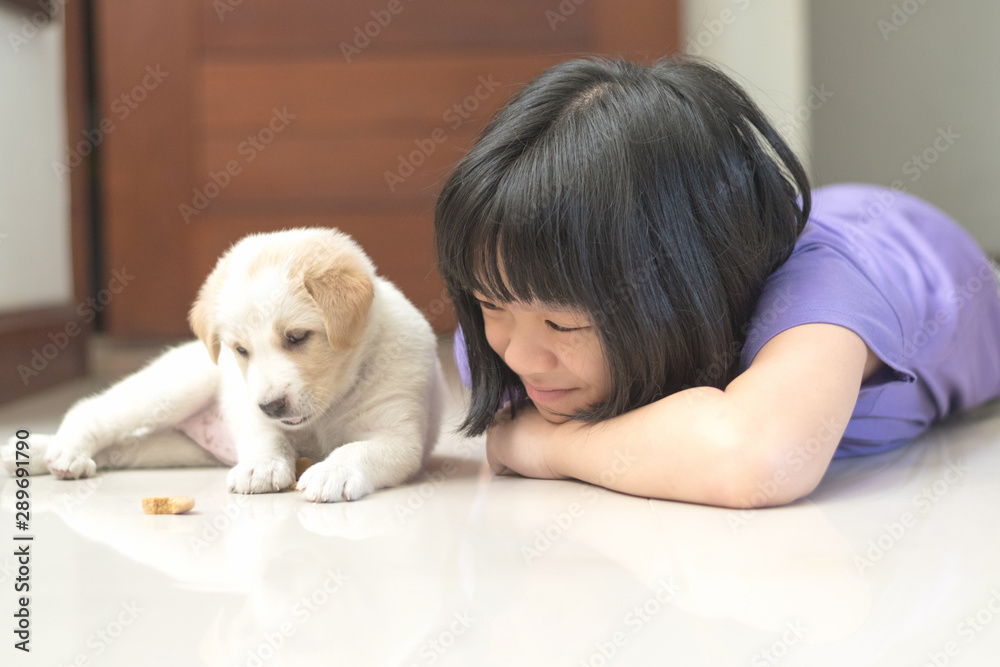 Asia kid girl playing with puppy dog pet in house. Asia kid girl playing with puppy dog pet in house.