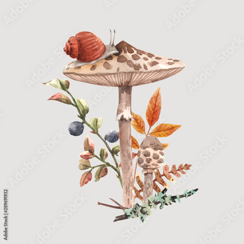 Watercolor forest mushroom vector composition