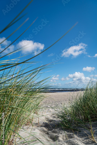 Strand am Meer mit Gras und Sand