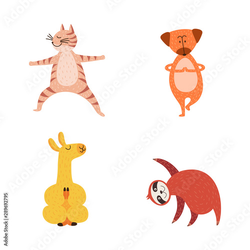 Cute cartoon animals in yoga poses - hand drawn cat, dog, llama and sloth