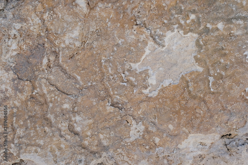 The texture of the wall of the building. Background for exterior design. The texture of the wall of the building. Background for exterior design.