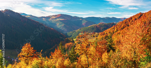 great panoramic view of romania mountain landscape. forested slopes in evening light. deciduous trees in fall foliage. warm autumn afternoon scenery. village down in the distant valley