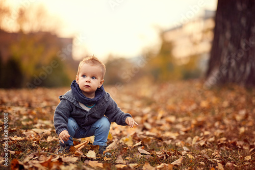 little boy in autumn park.