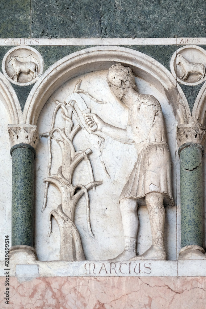 March, detail of the bas-relief representing the Labor of the months of the year, portal of the Cathedral of St Martin in Lucca, Italy