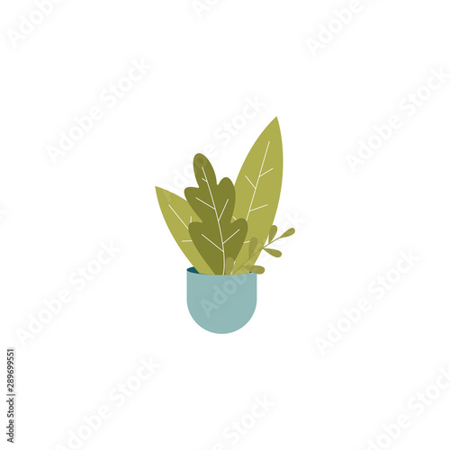 Green house plant in blue pot - isolated drawing of interior decoration element