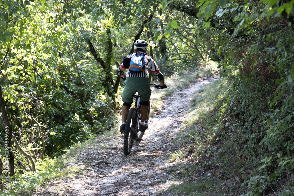 Fototapeta premium bike in mezzo al bosco