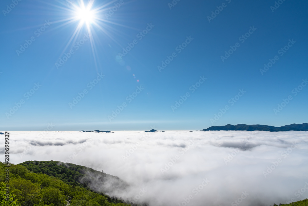 Obraz premium Panorama view from Unkai Terrace in summer time sunny day. Take the cable car at Tomamu Hoshino Resorts, going up to see the sea of clouds. Shimukappu village, Hokkaido, Japan