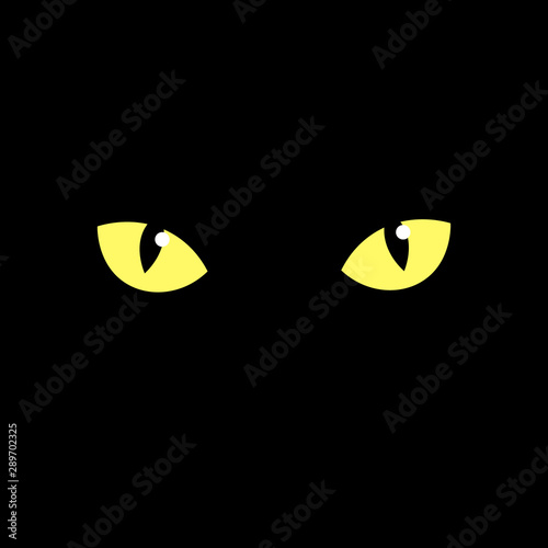 cat's eye of a black cat. eyes of a yellow cat in the dark. Vector illustration