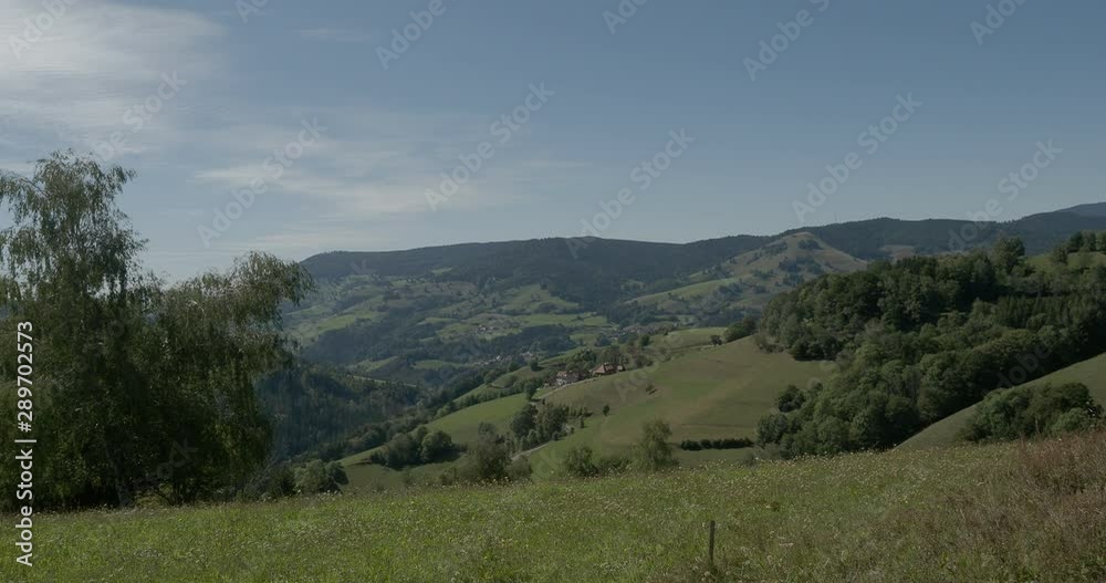 Landschaft vom Schwarzwald in Sommer. Blick auf fröhnd und das Wiesental Landschaft vom Schwarzwald in Sommer. Blick auf fröhnd und das Wiesental