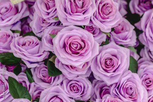 Bouquet roses flower background © pushish images