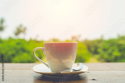 Hot coffee on table with fresh garden background