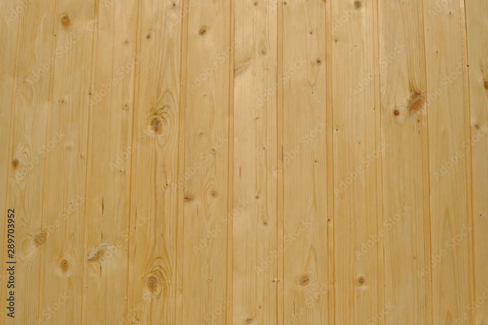 Fence from the boards. Wood texture Fence from the boards. Wood texture