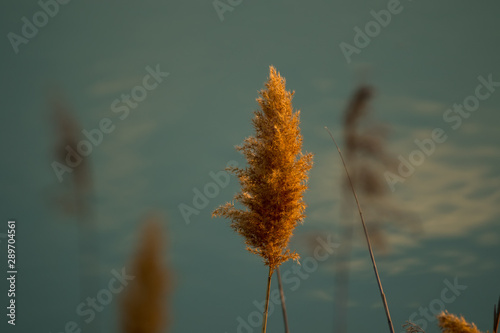 The beauty of nature