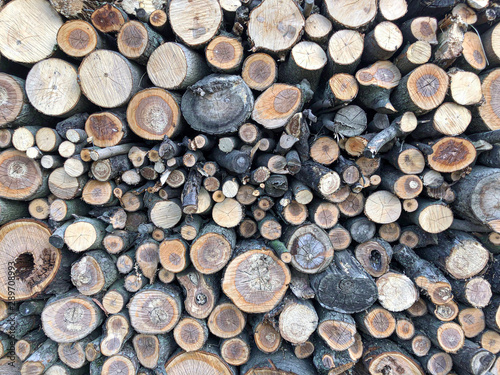 Firewood for heating  bonfires  fireplaces. Background from sawn tree trunks. Wood texture. Village blanks.