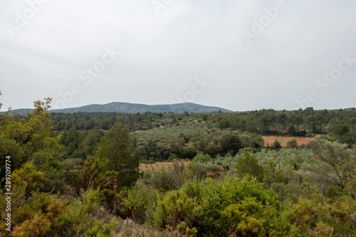 Road through the mountains of the Senia