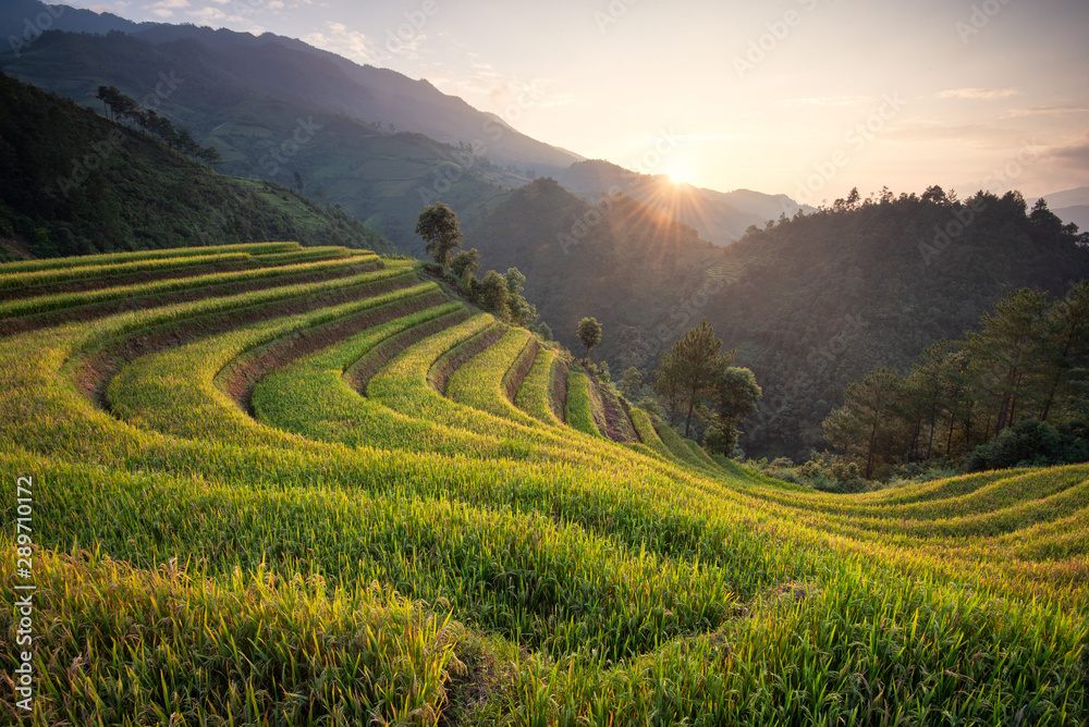 Beautiful landscape rice fields on terraced of Mu Cang Chai