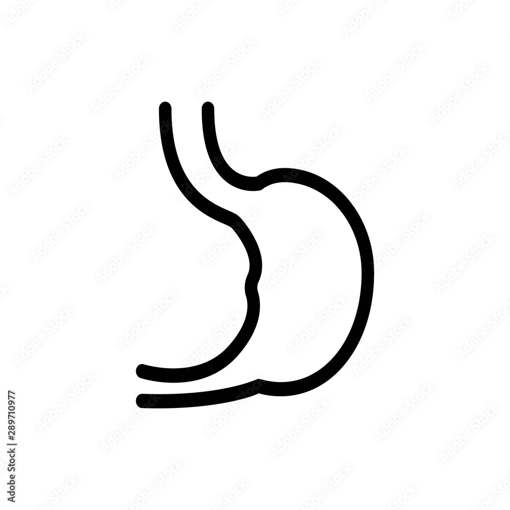 stomach line vector icon stomach line vector icon