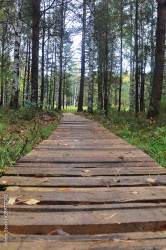 Autumn pathway 3