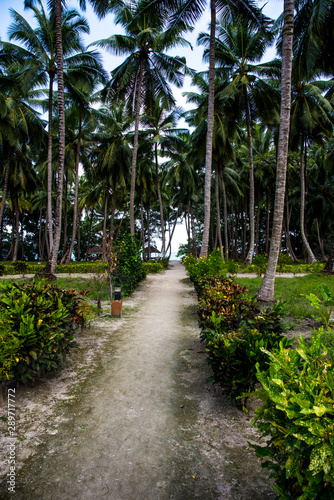 path in beach village