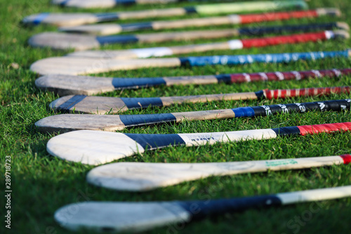 A bunch of camogie hurleys lined up on the grass photo