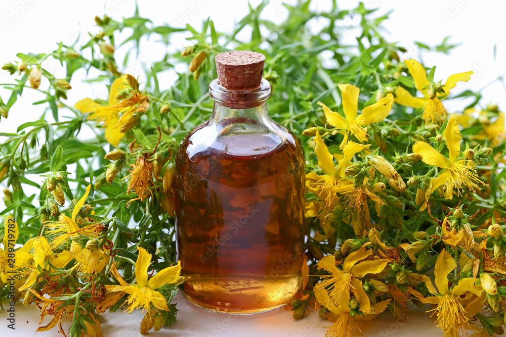 St. John's Wort oil ; Hypericum perforatum St. John's Wort oil ; Hypericum perforatum