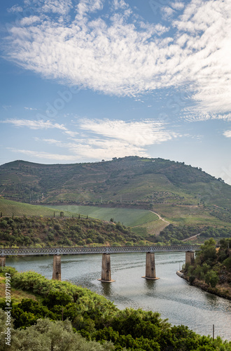 Scenic view of Alto Douro Vinhateiro with terraces, vineyards and the Tua Bridge over Douro River