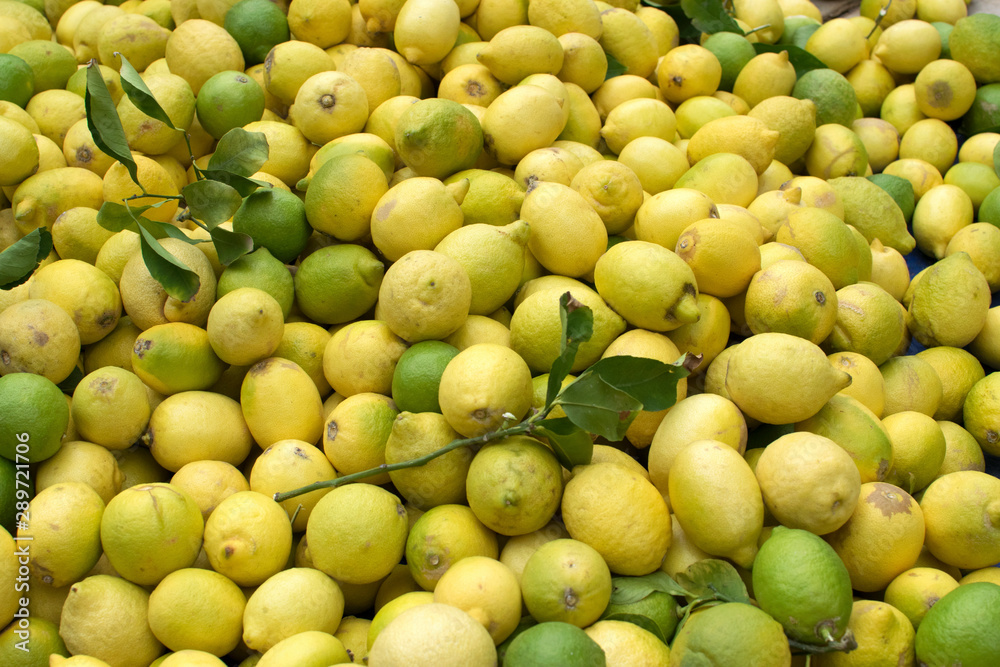 Green and yellow lemons, twigs on the counter of the market in Athens. Background of citrus. Green and yellow lemons, twigs on the counter of the market in Athens. Background of citrus.