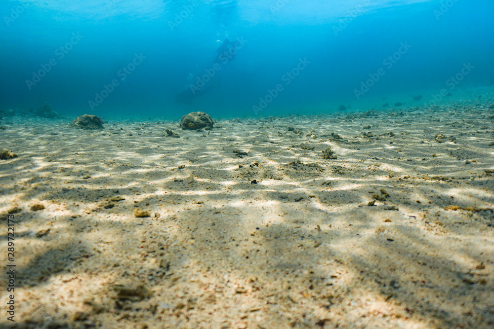 Underwater shot of the vivid coral reef in tropical sea. Fish swimming over the reef