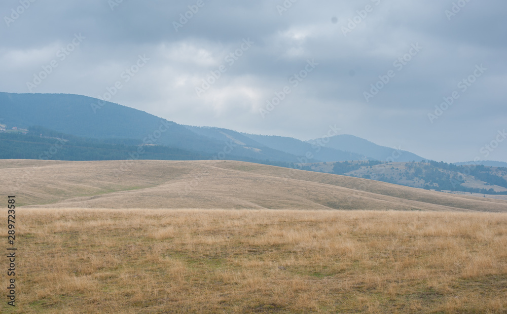 Fototapeta premium Hilly landscape in Serbia, Zlatibor. Beautiful view with hills, clouds, trees and wooden houses. Blue sky and grass. Beautiful plain. Foggy day and hills. Nature