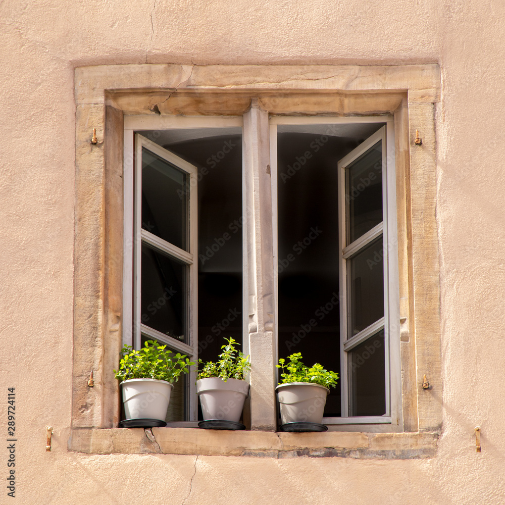 open window with three green flower pots