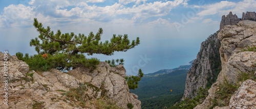 Fototapeta Naklejka Na Ścianę i Meble -  panoramic view of the Caucasus Mountains in summer day