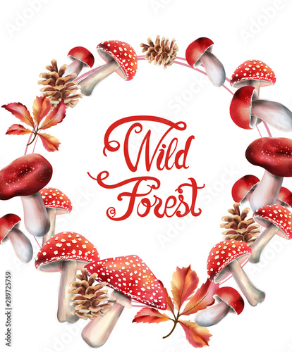 Wild forest red mushrooms on wreath vector. Isolated background