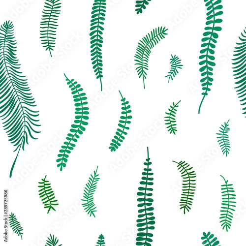 Vector seamless pattern with jungle plant. Seamless pattern with palm leaves. Seamless pattern with green leaves