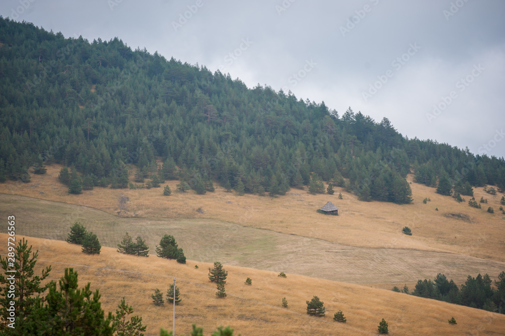 Fototapeta premium Hilly landscape in Serbia, Zlatibor. Beautiful view with hills, clouds, trees and wooden houses. Blue sky and grass. Beautiful plain. Foggy day and hills. Nature