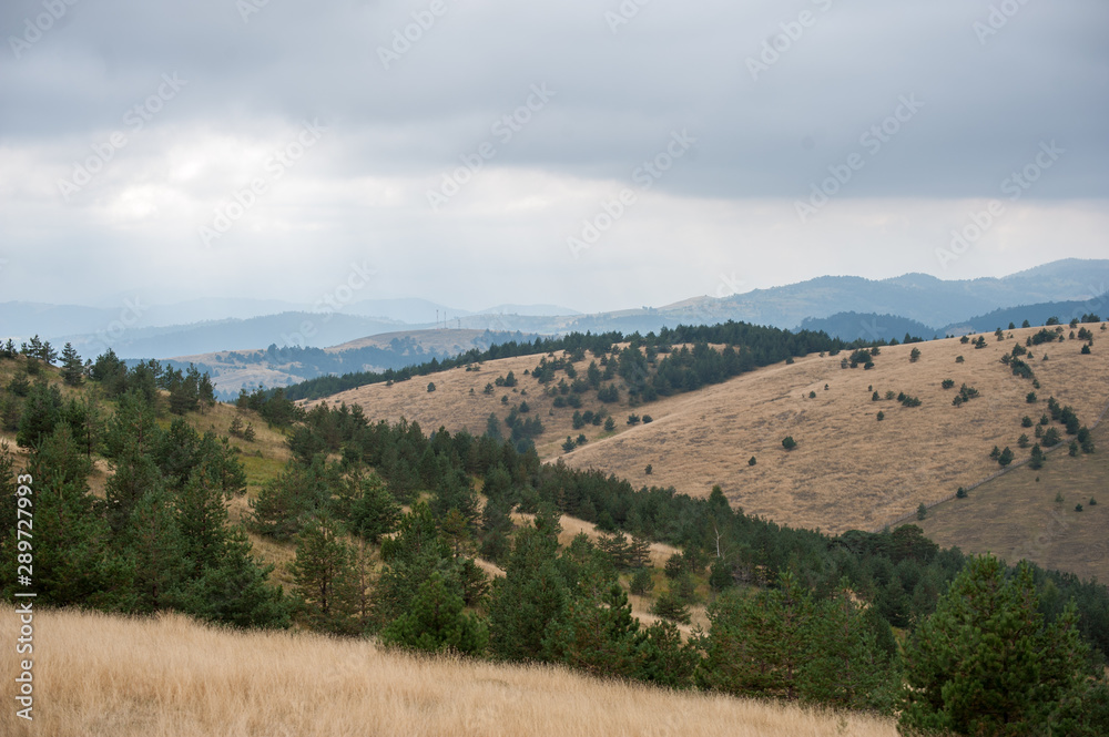 Hilly landscape in Serbia, Zlatibor. Beautiful view with hills, clouds, trees and wooden houses. Blue sky and grass. Beautiful plain.  Foggy day and hills. Nature