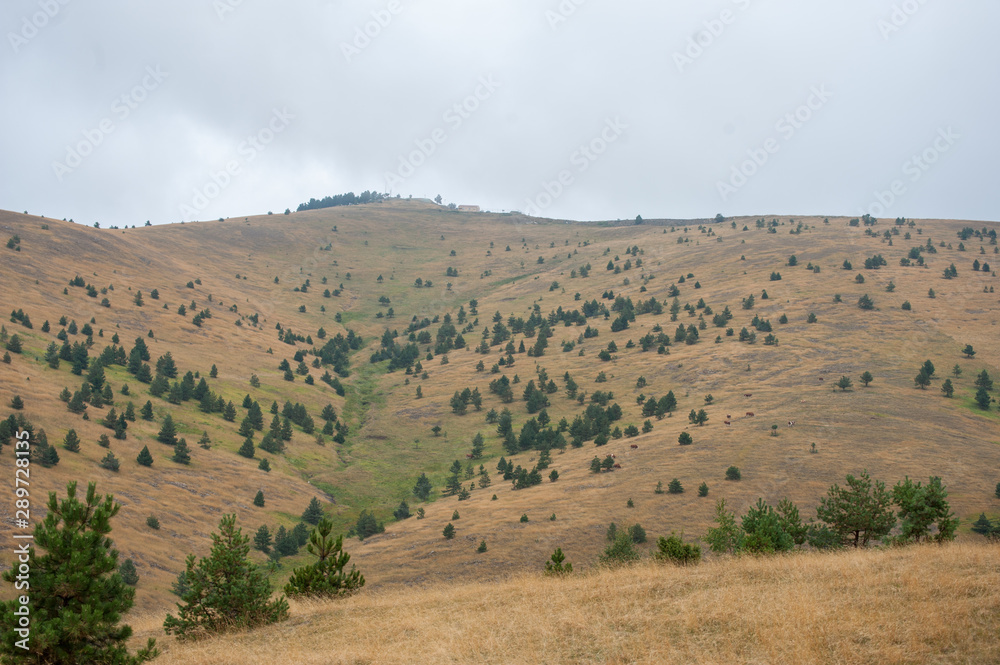 Fototapeta premium Hilly landscape in Serbia, Zlatibor. Beautiful view with hills, clouds, trees and wooden houses. Blue sky and grass. Beautiful plain. Foggy day and hills. Nature