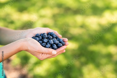 handful of fresh blueberries