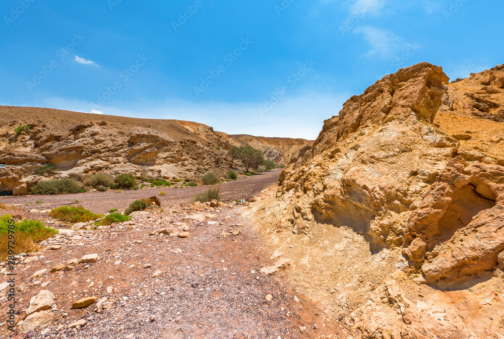 View in Negev desert on a sunny day View in Negev desert on a sunny day