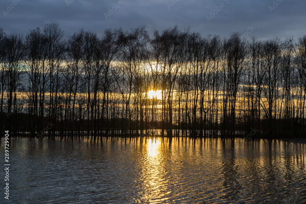 Flooded fields reflecting the early morning sun.
