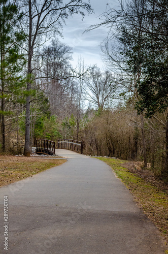 Walkway with Bridge in Woods