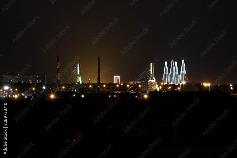 saint petersburg skyline at night
