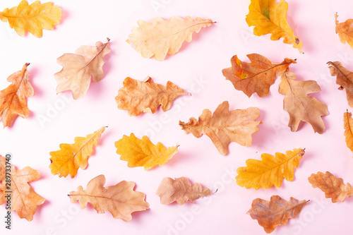 Fall leaves autumn background