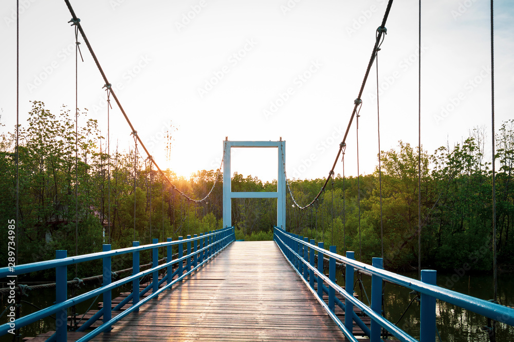 Fototapeta premium Wood suspension bridge over the river in the mangroves forest for travel with beautiful sunshine background.