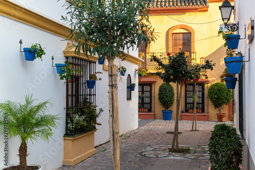 Traditional narrow Spanish street  of Estepona town, Andalusia, Spain © gorelovs